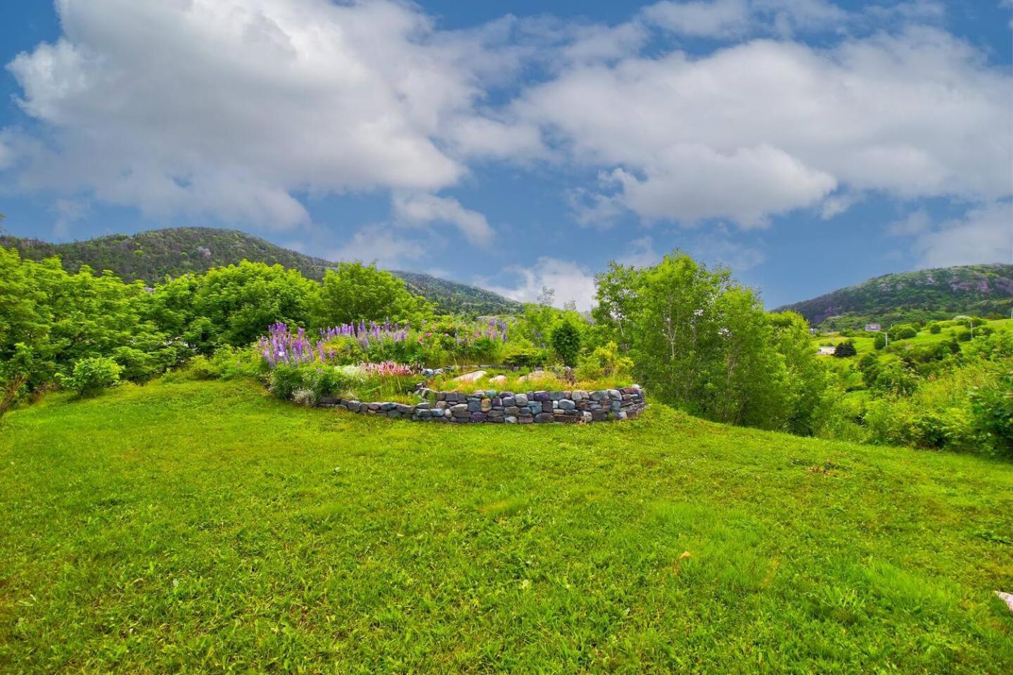 The Vista At Quidi Vidi - Stunning Views & Trails Villa St. John's Exteriör bild